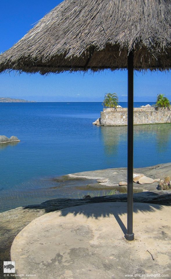 African Diving Fish Station, Katoba Rock 03